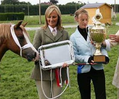Posy-&-judges-A
